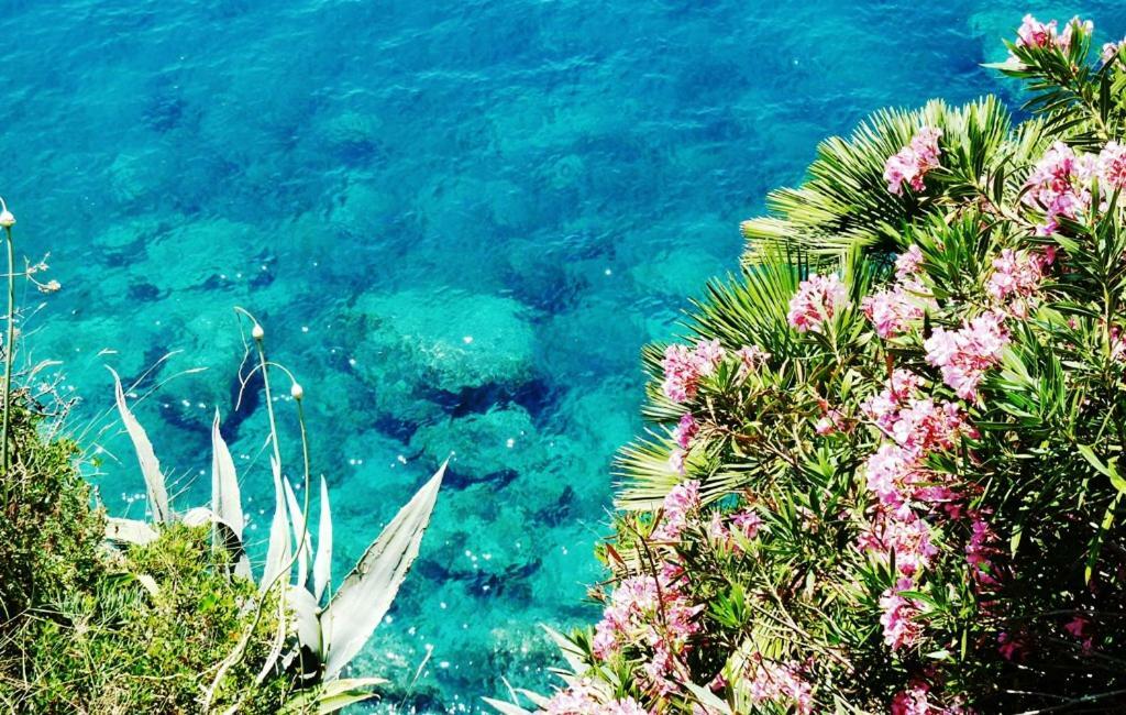 Nice Apartment & Room In Cavtat Εξωτερικό φωτογραφία