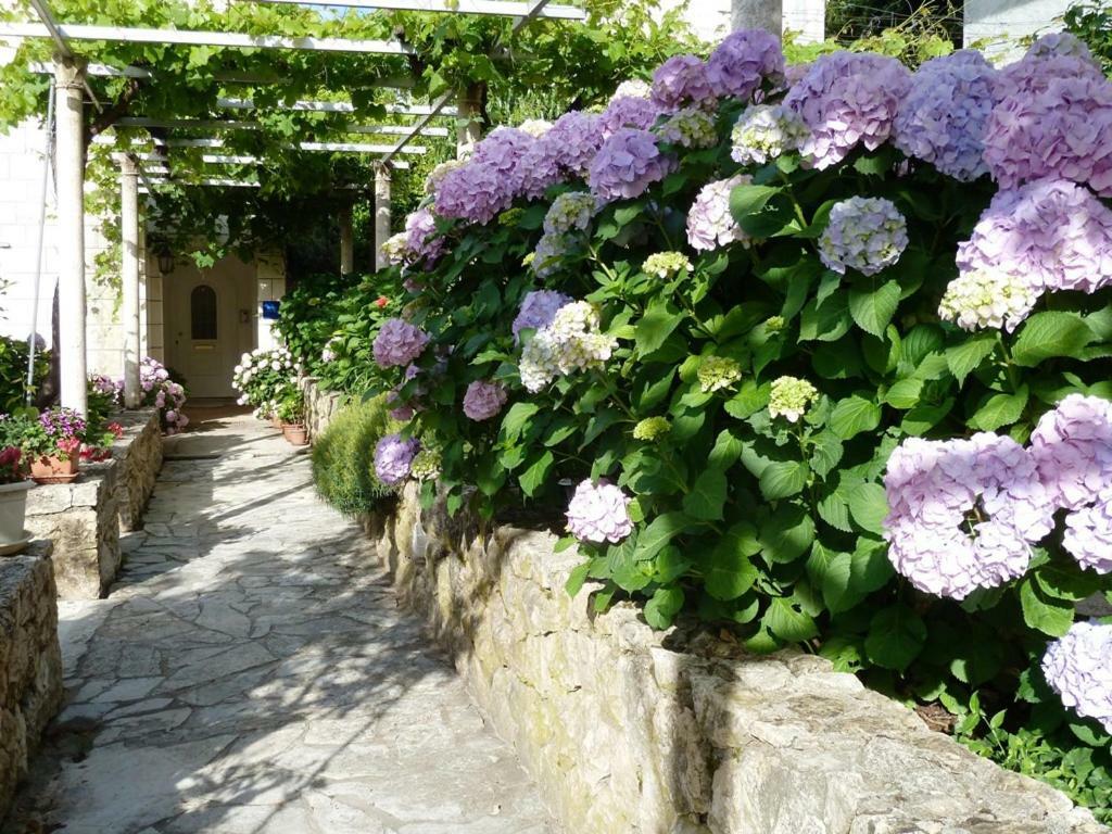 Nice Apartment & Room In Cavtat Εξωτερικό φωτογραφία