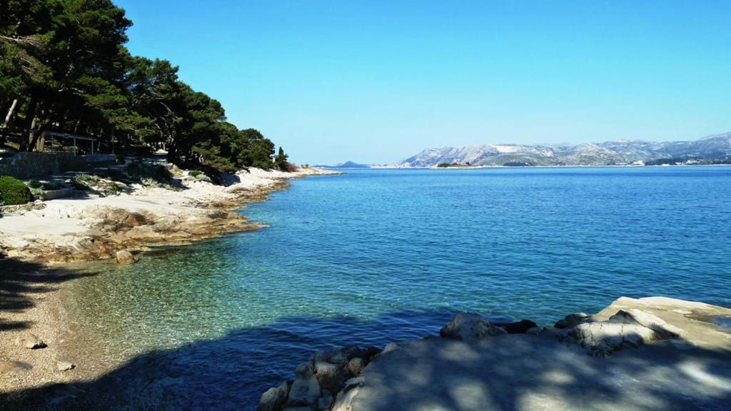 Nice Apartment & Room In Cavtat Εξωτερικό φωτογραφία
