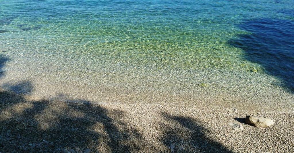 Nice Apartment & Room In Cavtat Εξωτερικό φωτογραφία