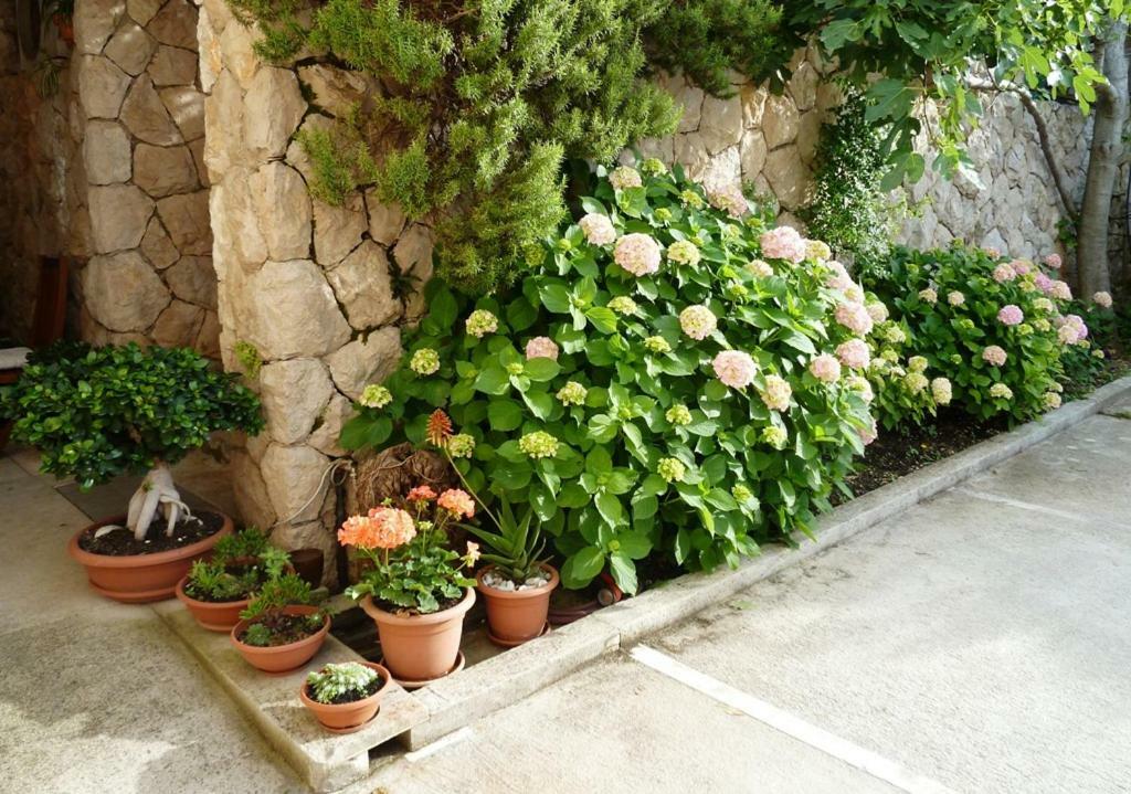 Nice Apartment & Room In Cavtat Εξωτερικό φωτογραφία